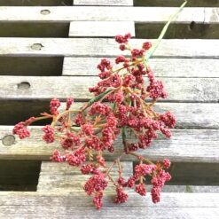 Alternative view of Dekorativ burgundy farvet bærgren