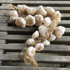 Alternative view of Kunstig hvidløgsranke bundet med bast