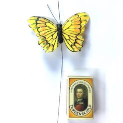 Alternative view of Gul sommerfugl med kontrastfarver