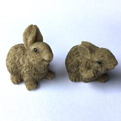 Skønt lille kanin par