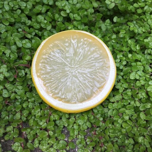 Kunstig citron skive
