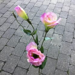 Naturtro lys lilla Texasklokke