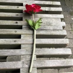 Alternative view of Anemone i fuchsia farve