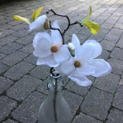 Magnolia gren i hvid