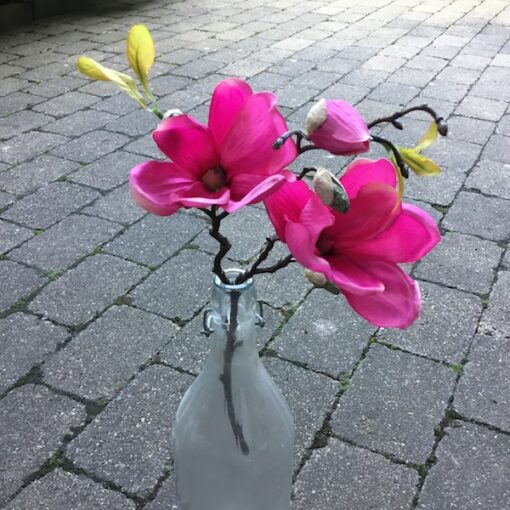 Magnolia gren i pink