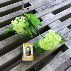 Alternative view of Smuk limegrøn blomster stilk