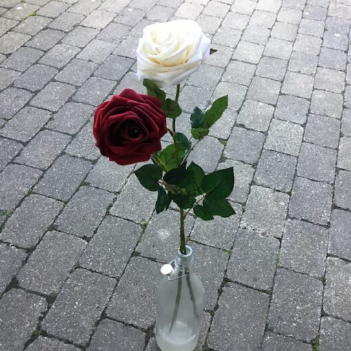 Rød høj velour rose - Med åbent og fyldigt stort hoved - Dekolagersalg