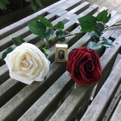 Alternative view of Rød høj velour rose