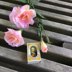 Alternative view of Naturtro rosa Texasklokke