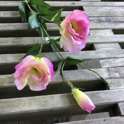 Alternative view of Naturtro lys lilla Texasklokke