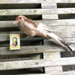 Alternative view of Guld farvet gråspurv