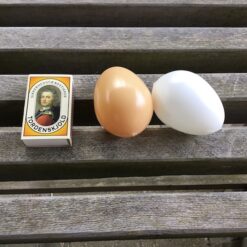 Alternative view of Hvidt kunstigt æg