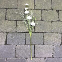 Alternative view of Smuk hvid Dahlia stilk