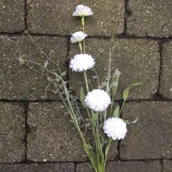 Smuk hvid Dahlia stilk