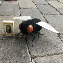 Alternative view of Kæmpe flue med vinger