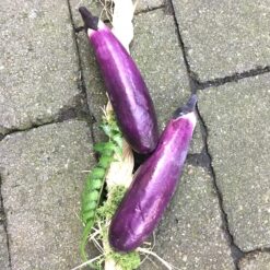 Kunstig dekorativ aubergine ranke