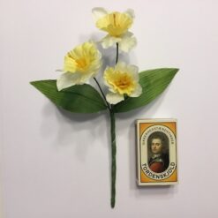 Alternative view of Lille påskelilje gren