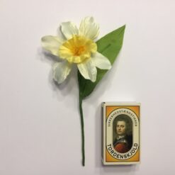 Alternative view of Lille narcissus påske gren