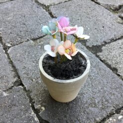 Pastelfarvet blomster