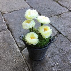 Lysgul blomst i zinkpotte