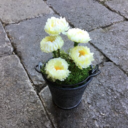 Lysgul blomst i zinkpotte