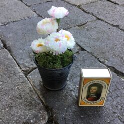 Alternative view of Sart rosa blomst i zinkpotte