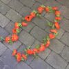 Valmueranke i orange farve