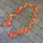 Valmueranke i orange farve