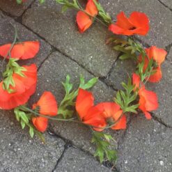 Alternative view of Valmueranke i orange farve