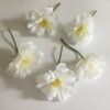 Hvide blomstergrene
