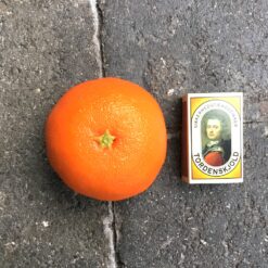 Alternative view of Kunstig naturtro orange mandarin