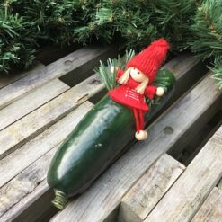 Nissepige på agurk