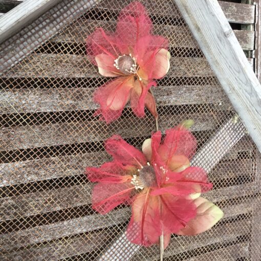 Magnolia bordeaux dobbelt stilk
