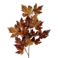 Naturtro brun ahorn efterårsgren