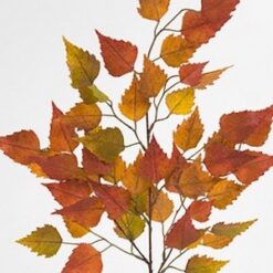 Efterårsgren med gyldenbrune blade