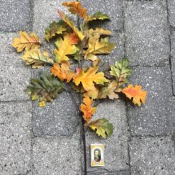 Alternative view of Efterårsgren med gulgrønne blade