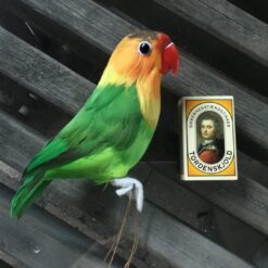 Alternative view of Kunstig fler farvet lille papegøje