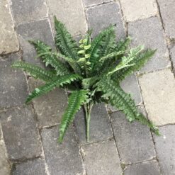 Naturtro grøn bregne buket