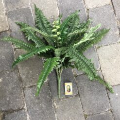 Alternative view of Naturtro grøn bregne buket