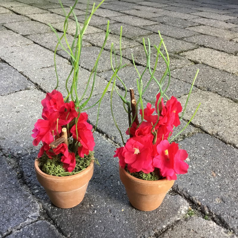 Lille dekorativ pink potteblomst - Billede 3