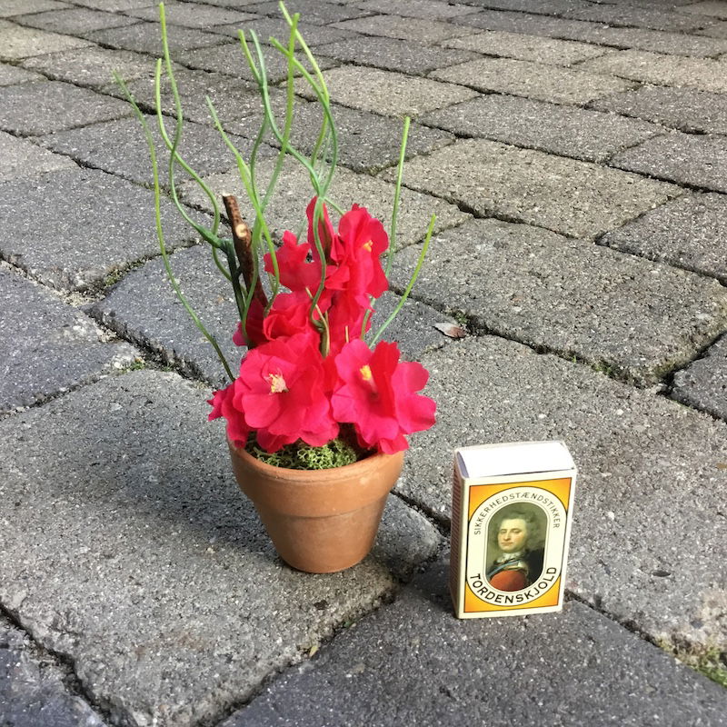 Lille dekorativ pink potteblomst - Billede 4