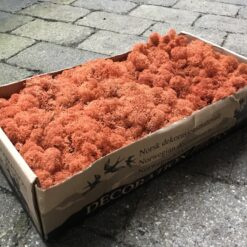 Kasse Islandsk mos mango farvet