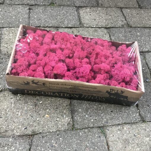 Kasse Islandsk mos pink farve 