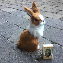 Alternative view of Stor gylden kanin der står