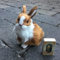 Alternative view of Stor gylden kanin der sidder