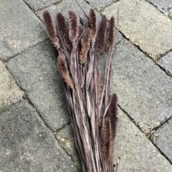 Tørrede blomster brun buket