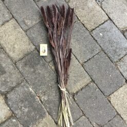 Alternative view of Tørrede blomster brun buket