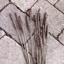 Alternative view of Tørrede brun hvede buket