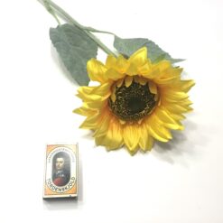 Alternative view of Stor høj gul solsikke