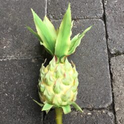 Kunstig gul ananas på pind